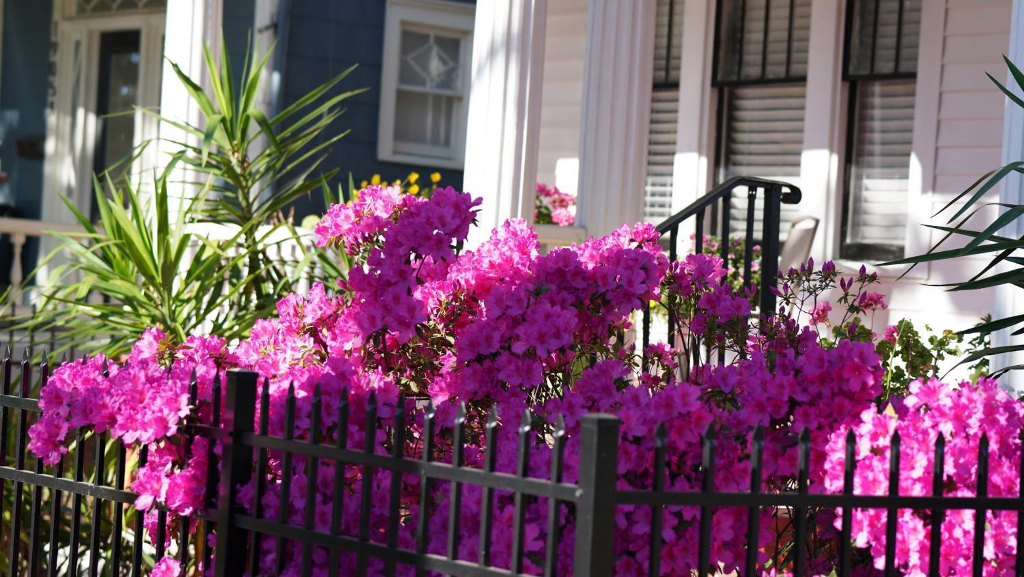 5 Bedroom Downtown Savannah Ga Extérieur photo